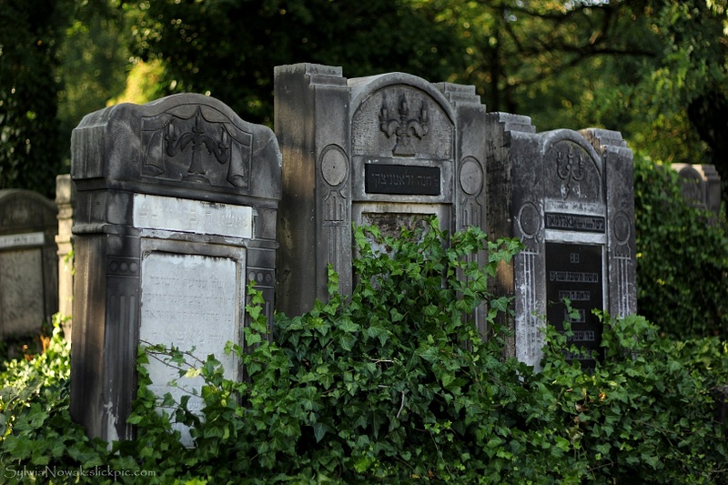 Jewish Cemetery - Lodz 032 Sylwia Nowak
