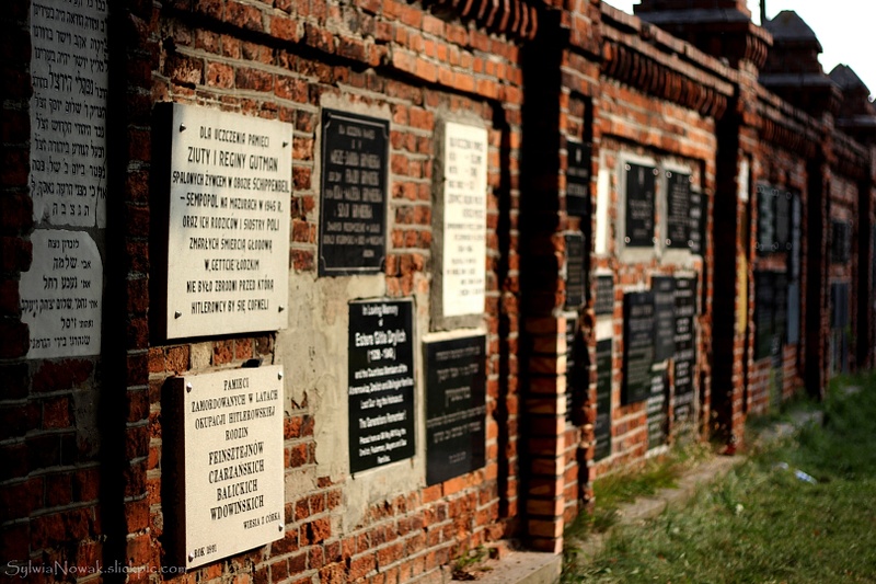 Jewish Cemetery - Lodz 035 Sylwia Nowak
