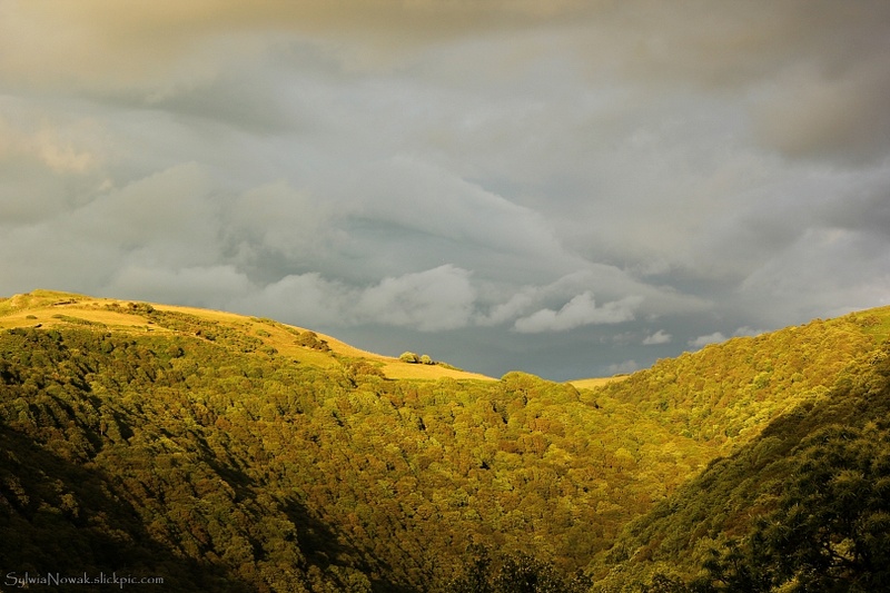 Before the Thunderstorm, Exmoor, England
