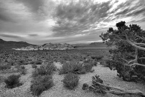 Red Rock Canyon by Vernon Adams