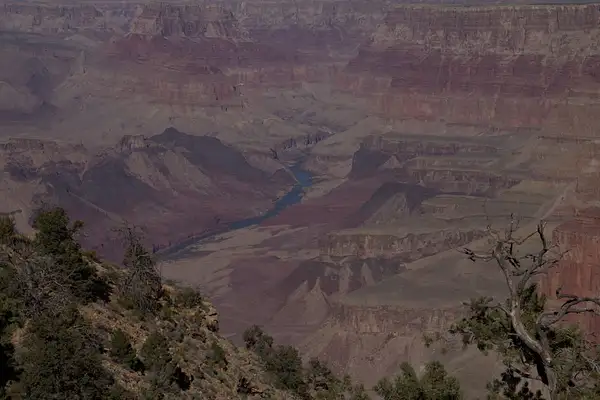 Grand Canyon by Vernon Adams