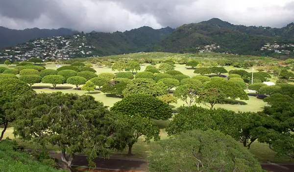 Punch Bowl Cemetery, Oahu by robs993