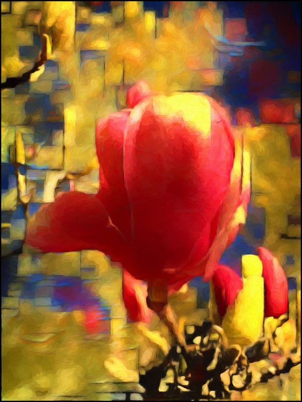 Red Tulip abstract 1