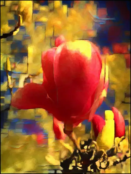 Red Tulip abstract 1 by FotoClaveGallery2017