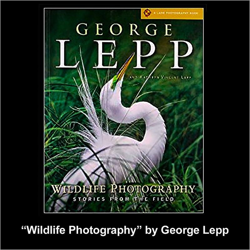 George Lepp Wildlife Photography