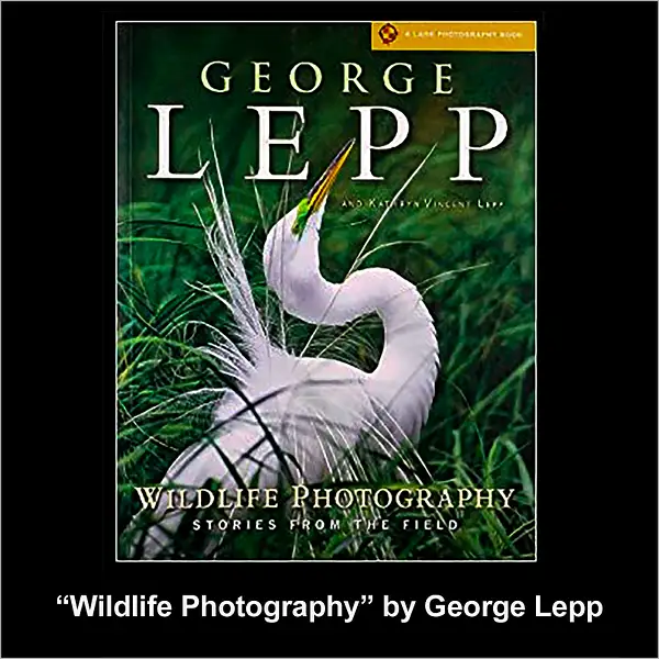 George Lepp Wildlife Photography by FotoClaveGallery2017