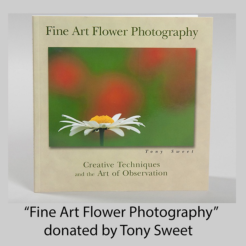 Fine Art Flower Photograpy