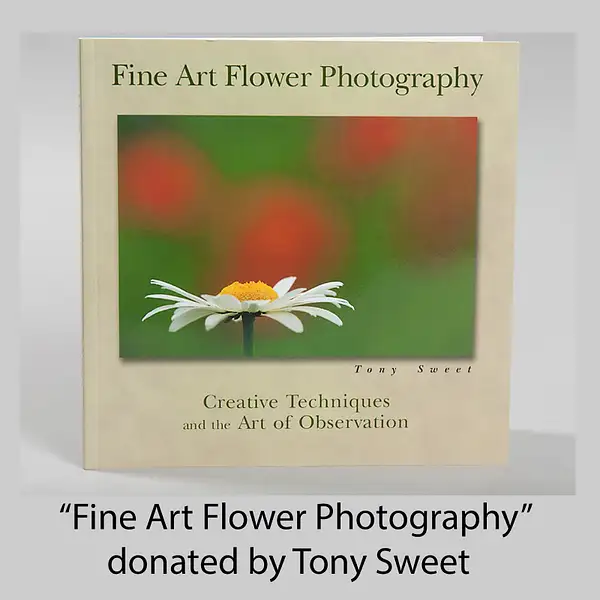 Fine Art Flower Photograpy by FotoClaveGallery2017
