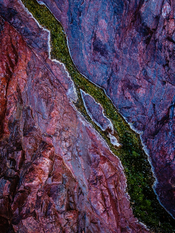 Pool Of Color - Grand Canyon