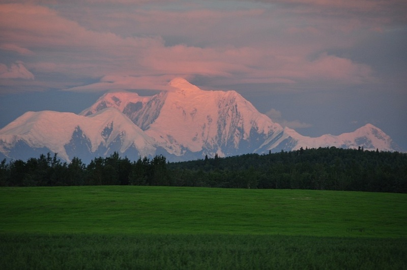 Mt._Hayes_from_Delta_(5)