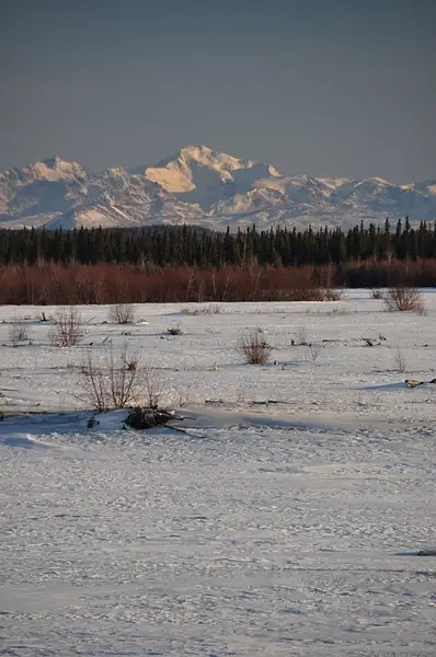 Mt._Silvertip_over_Tanana_River by WillWright