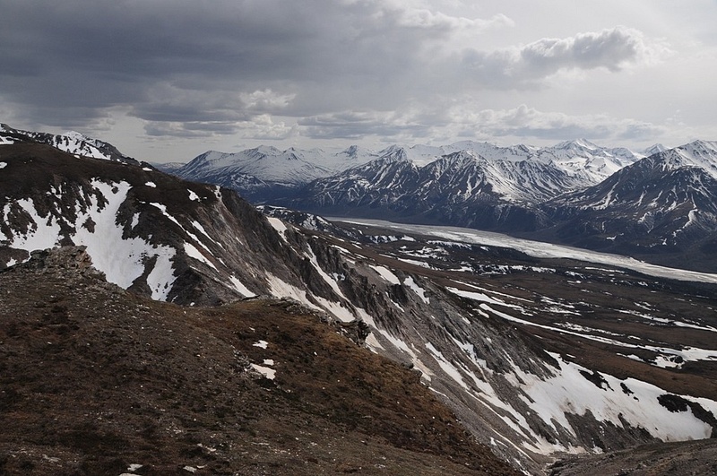 Black_Rapids_Hike,_Alaska_Range_(2)