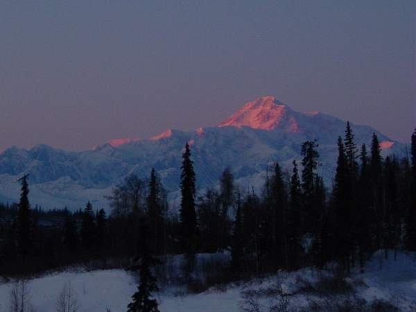 Denali_from_Parks_Highway by WillWright