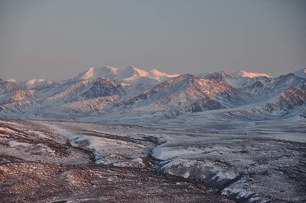 far_eastern_AK_Range_from_Donnelly_Dome by WillWright