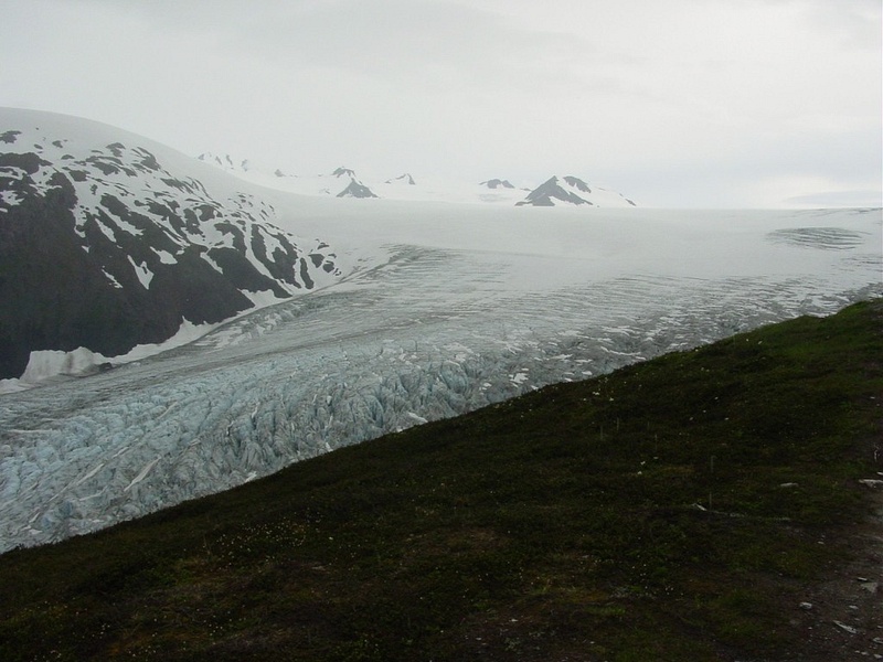 Exit_Glacier,_Seward