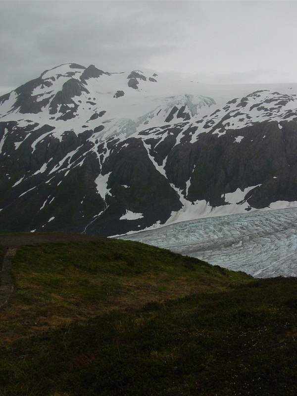 Exit_Glacier,_Seward_(3)