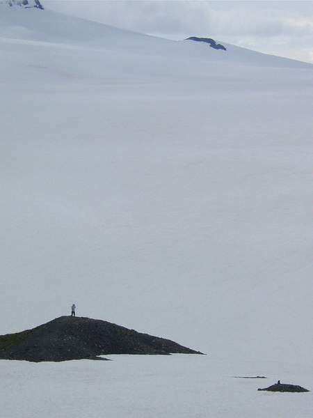 Harding_Icefield_hike,_Seward_(2) by WillWright