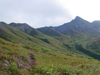 HIKE Matanuska Peak