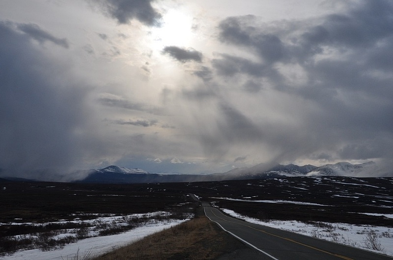 Along_the_Denali_Highway_in_spring