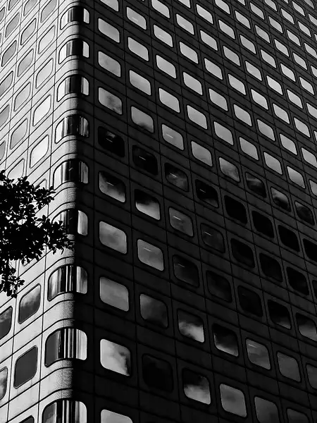 HK windows by AttarPortfolio