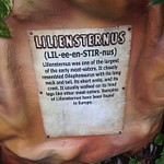 Liliensternus