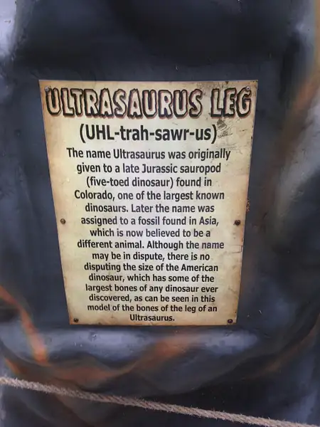 Ultrasaurus Leg by Maastrichianguy