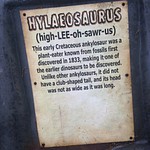 Hylaeosaurus