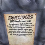 Elasmosaurus and Mosasaurus