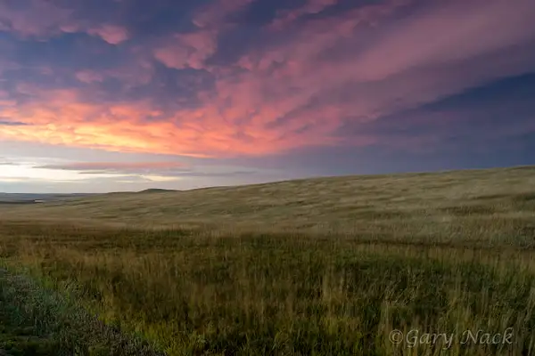 Prairie Sunset by garynack