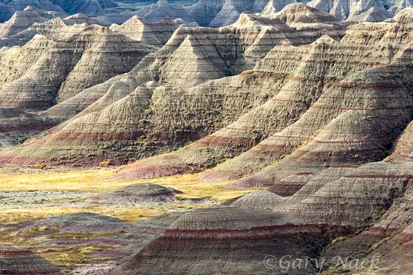 Painted Desert by garynack