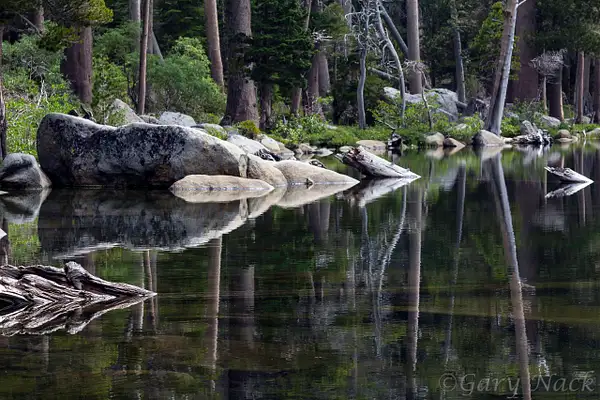 Pond Reflections by garynack