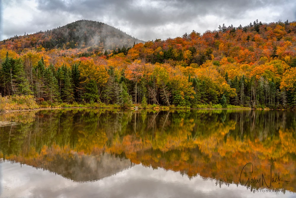 Morning Reflections