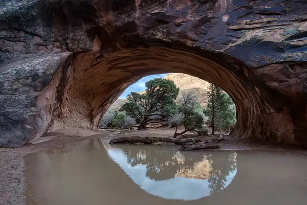 Navajo Reflections by garynack