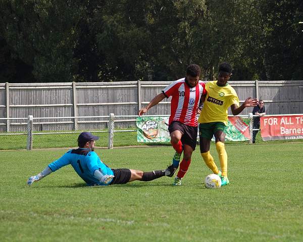 DSC_0144 by Guildford City