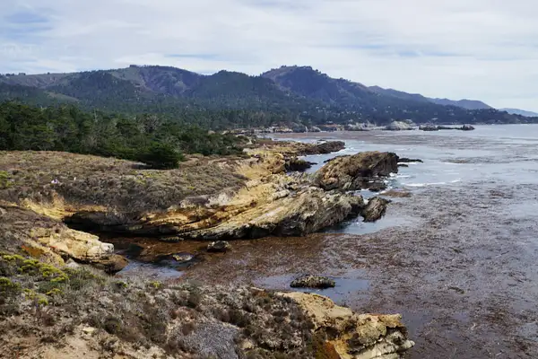 Point lobos State Parke by Globespanner