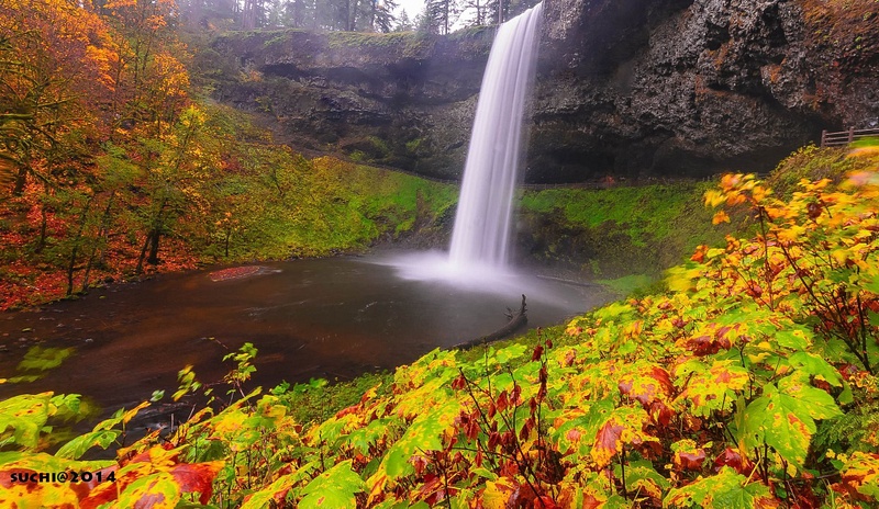 Silver Falls during fall