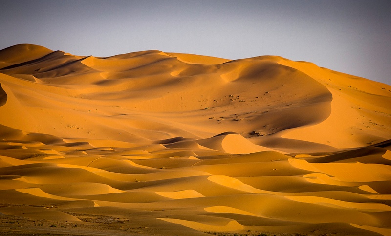 Sahara Dunes #A01415