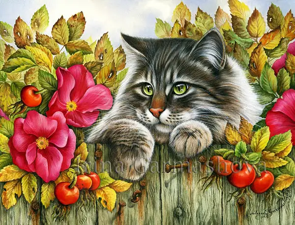 Tabby Autumn Rose by IrinaCawton