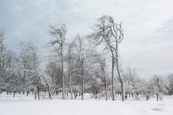 Niagara Falls Winter by BruceBradley