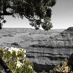 Grand Canyon South RIm