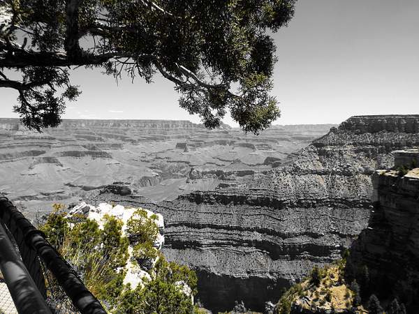 Grand Canyon South RIm by BruceBradley
