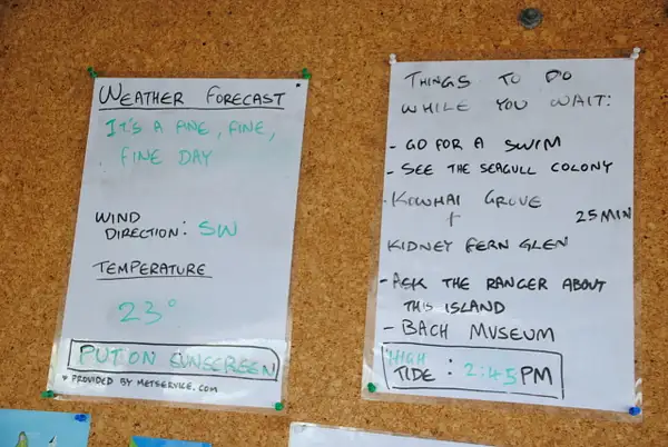 Weather forecast at Rangitoto Island by Maria Dzeshchanka