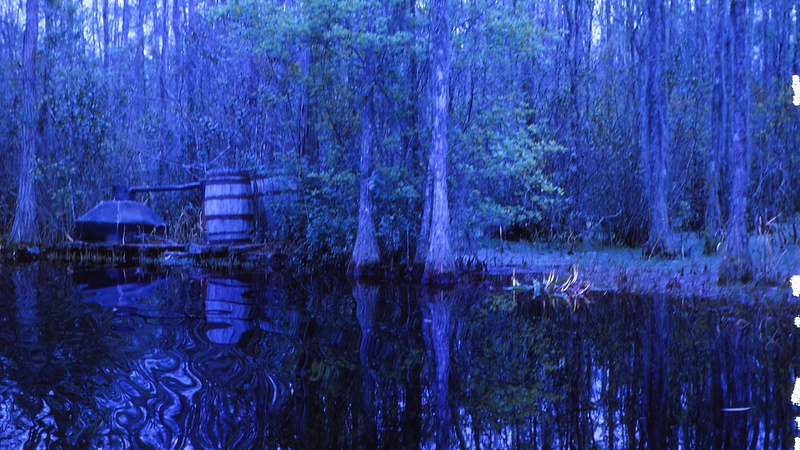 Moonshine Still-Okefenokee Swamp