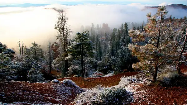 Bryce_Canyon,_Utah_194 by Ron Meade