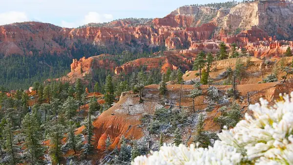 Bryce_Canyon,_Utah_225 by Ron Meade