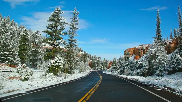 Bryce_Canyon,_Utah_235 by Ron Meade