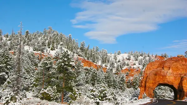 Bryce_Canyon,_Utah_239 by Ron Meade