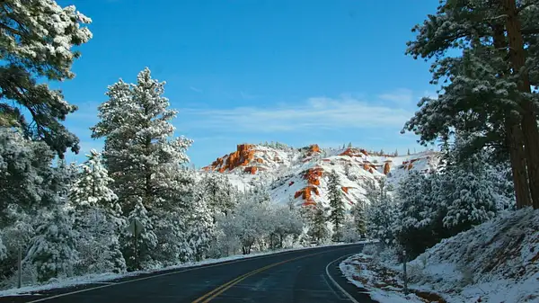 Bryce_Canyon,_Utah_241 by Ron Meade