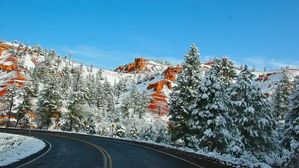 Bryce_Canyon,_Utah_242 by Ron Meade