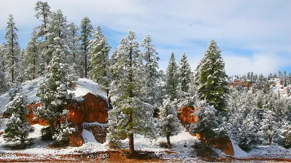 Bryce_Canyon,_Utah_244 by Ron Meade